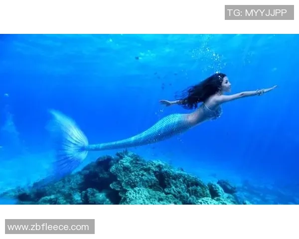 足球明星与海洋奇遇记高清抱鱼瞬间展现运动与自然的完美结合